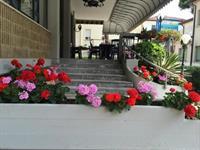Hotel Al Mare 3*